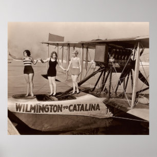 Poster dos fatos de banho do vintage - 1780225-1