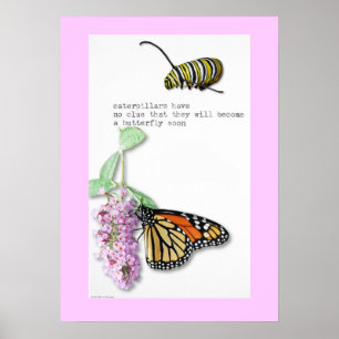 Poster dos haicais da borboleta