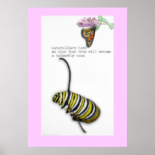 Poster dos haicais de Caterpillar