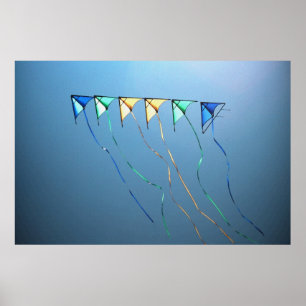 Poster dos papagaios em seguido 36 x 24