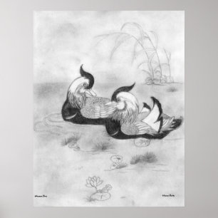 Poster dos Patos Mandarim