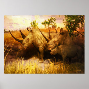 Poster dos RHINOS