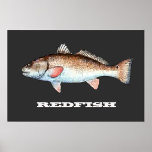 Poster dos salmonetess
