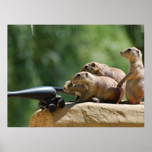 Poster dos soldados de cão da pradaria