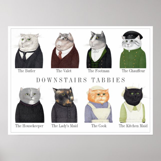 POSTER DOS TABBIES DO ANDAR DE BAIXO (Frente)