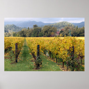 Poster dos vinhedos de Napa