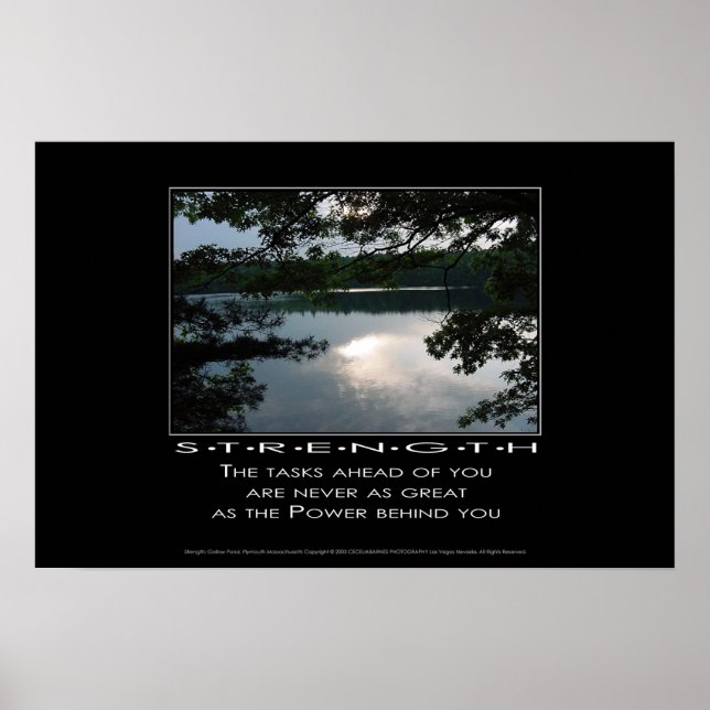 Poster Dosagem (Frente)