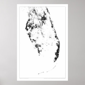 Póster Dotmap de Censo de Everglades