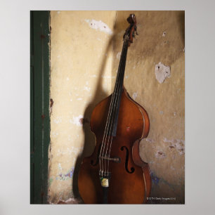 Póster Double Bass