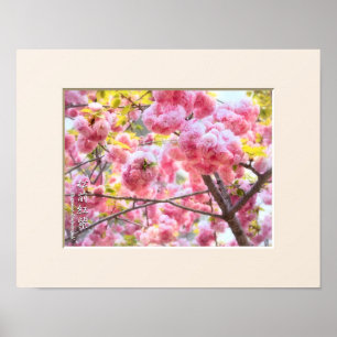 Poster Double Cherry Blossom: Matsumae-benimurasaki