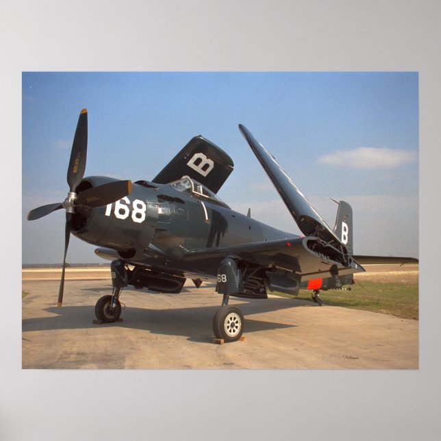 Póster Douglas, Skyraider, 1949_Classic Aviation (Frente)