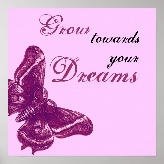 Póster DOURADO DREAMS Sunburst Feathering Rosa (Frente)