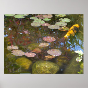 Poster Dourado Koi no lago de Lily