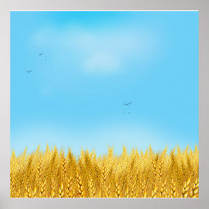 Poster Dourado Trigo Campo Azul Céu Azul Pintura de Óleo 