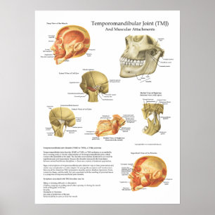 Póster Doutor muscular da carta dos acessórios da