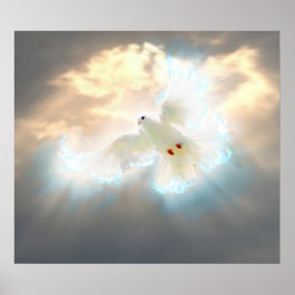 Póster Dove