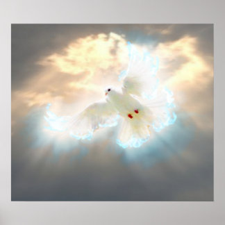 Póster Dove
