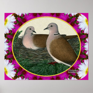 Póster Dove Nest e Flores