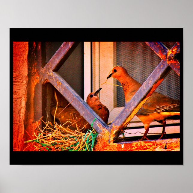 Poster Dove Romance (Frente)