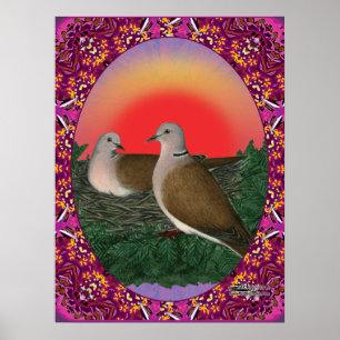 Póster Doves emoldurados