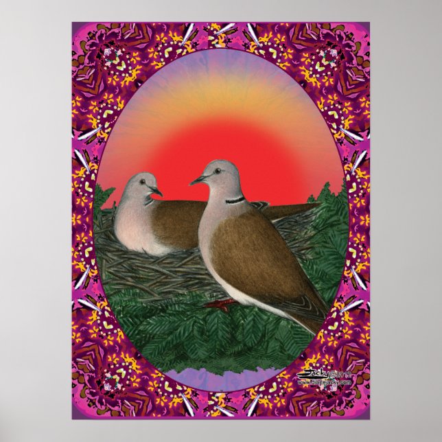 Póster Doves emoldurados (Frente)