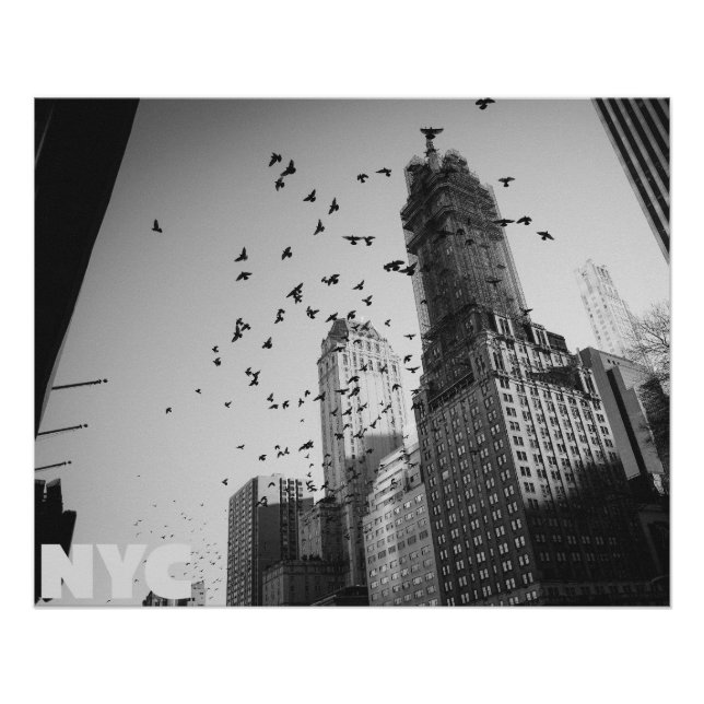 Póster Doves over Manhattan (Frente)