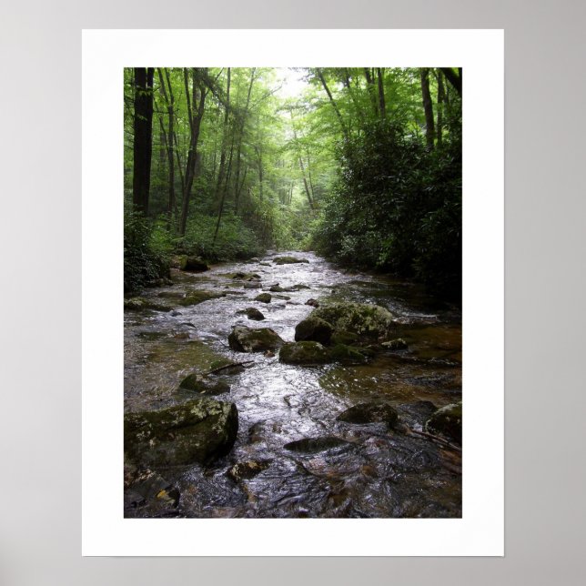 Poster Downstream (Frente)