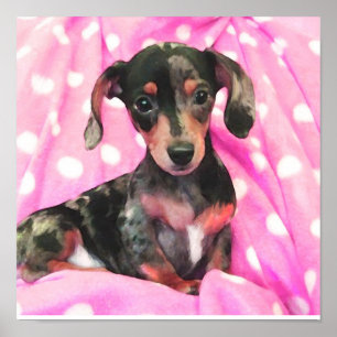 Póster doxie cor-de-rosa