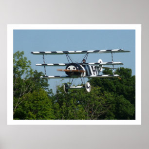 Póster DR1 239/17 no final!