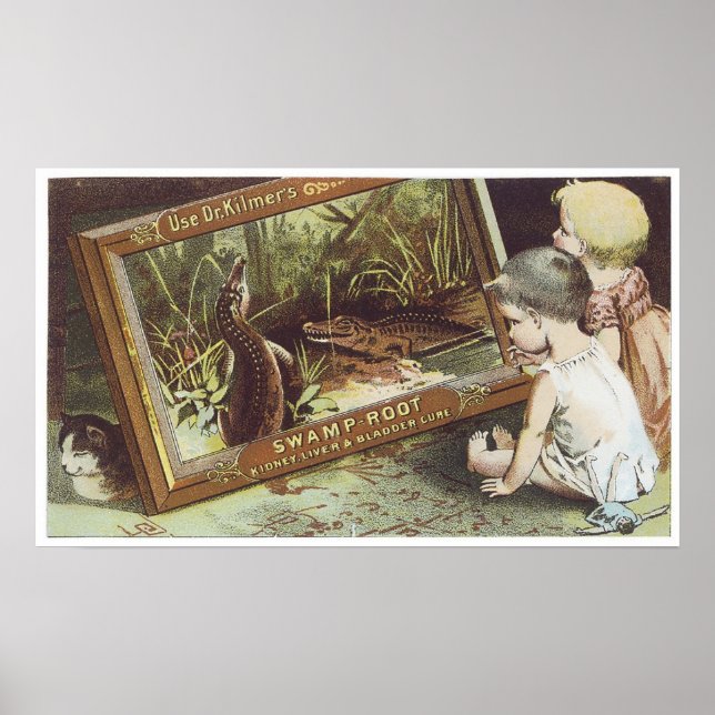 Póster Dr. Kilmers Swamp Root (Frente)
