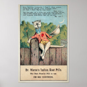 Poster Dr. Morse Cat Trade Card nº 2 (de 4)