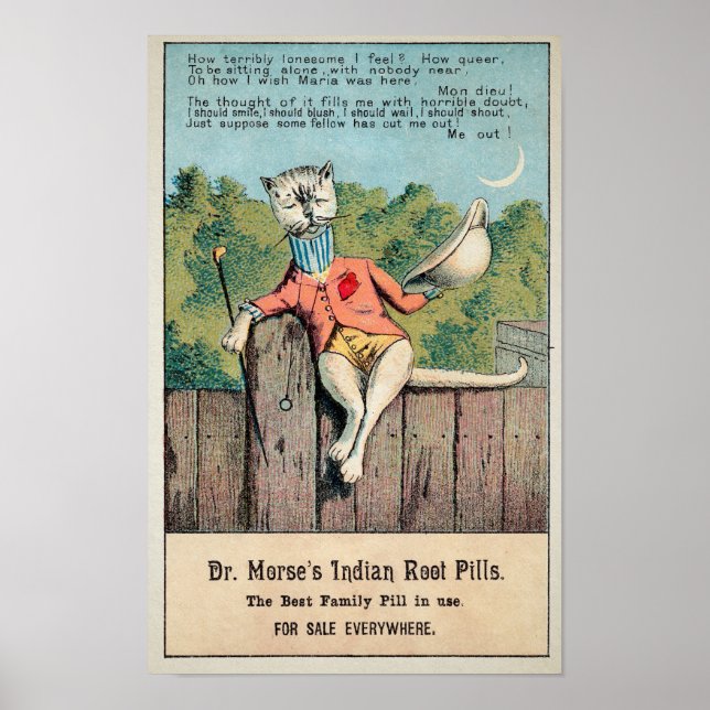 Poster Dr. Morse Cat Trade Card nº 2 (de 4) (Frente)