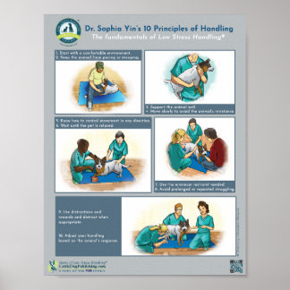 Poster Dr. Yin's 10 Principles of Handling Dogs