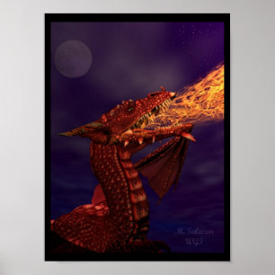 Póster Dra - Gon