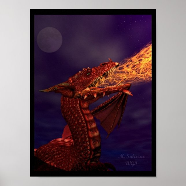 Póster Dra - Gon (Frente)