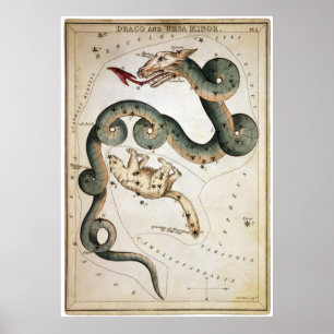 Poster Draco e Ursa Menor