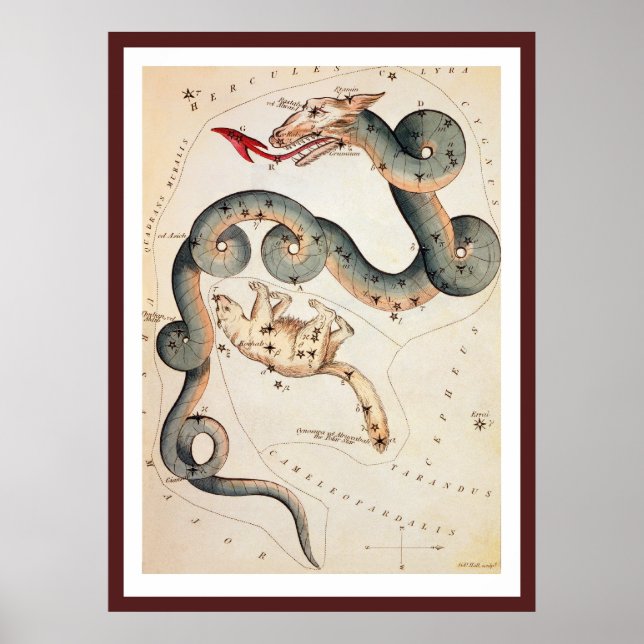 Poster Draco e Ursa Menor por Sidney Hall (Frente)