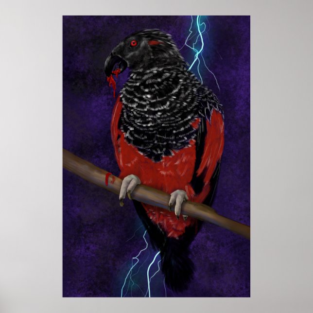 Poster Dracula Parrot (Frente)