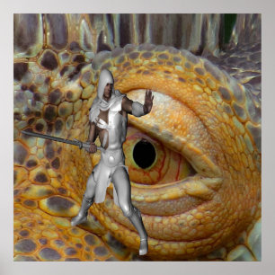 Poster Dragão