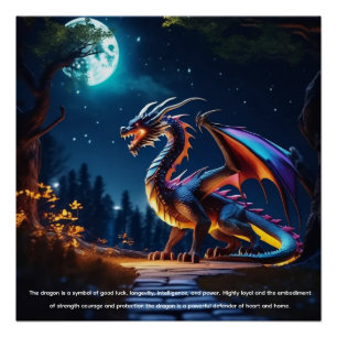 Póster Dragão