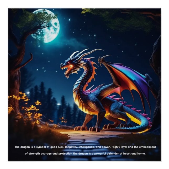 Póster Dragão (Frente)