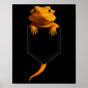 Poster Dragão Barbudo Cket Exótico Lindo Lagarto Réptil P