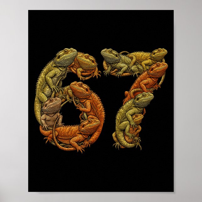 Poster Dragão Barbudo Engraçado 6 7 Meme Seis Sete Beardz (Frente)