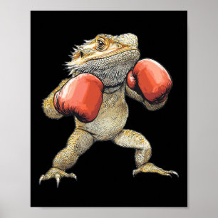 Poster Dragão Carborado Vestido Como Uma Boxineira Engraç