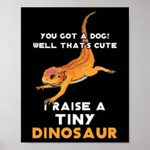 Poster Dragão Carborizado Proprietário do Dragão Carborad