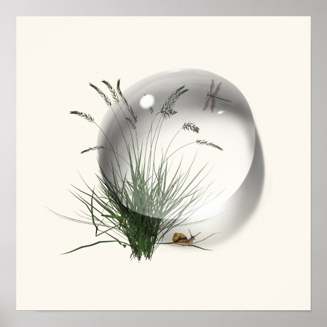 Poster Dragão de Caracol Gota de Água Abstrato  (Frente)