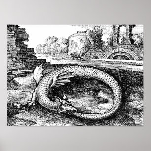 Poster Dragão de Ouroboros
