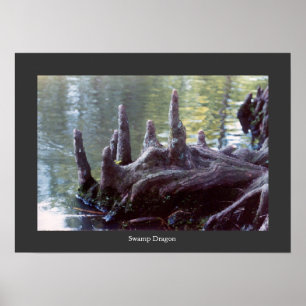 Poster Dragão do pântano
