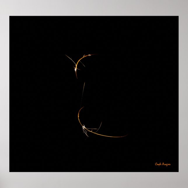 Póster Dragão Dormindo (Frente)