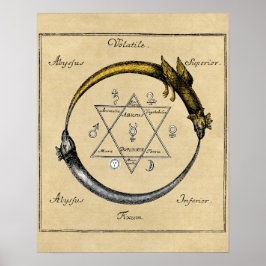 Póster Dragão e Serpente Ouroboros Mandala
